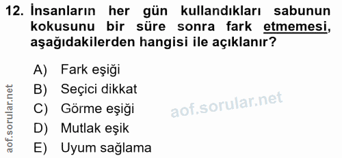 12. soru: Insanların her gün kullandıkları sabunun kokusunu bir süre sonra fark etmemesi, aşağıdakilerden hangisi ile açıklanır…