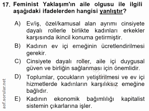 17. soru: Feminist Yaklaşım'ın aile olgusu ile ilgili aşağıdaki ifadelerden hangisi yanlıştır? A) Ev/iş, özel/kamusal alan ayrı…
