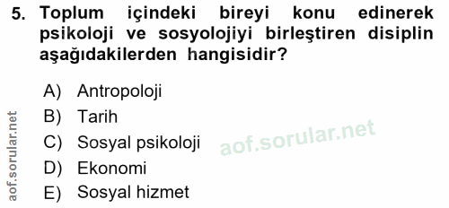 5. soru: Toplum içindeki bireyi konu edinerek psikoloji ve sosyolojiyi birleştiren disiplin aşağıdakilerden hangisidir? A) Ant…