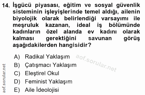 14. soru: İşgücü piyasası, eğitim ve sosyal güvenlik sisteminin işleyişlerinde temel aldığı, ailenin biyolojik olarak belirlend…