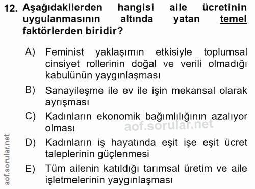 12. soru: Aşağıdakilerden hangisi aile ücretinin uygulanmasının altında yatan temel faktörlerden biridir? A) Feminist yaklaşımı…