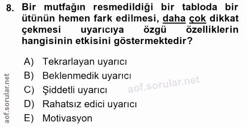 8. soru: Bir mutfağın resmedildiği bir tabloda bir ütünün hemen fark edilmesi, daha çok dikkat çekmesi uyarıcıya özgü özellikl…