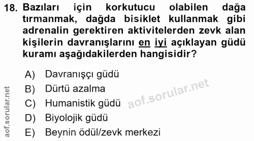 18. soru: Bazıları için korkutucu olabilen dağa tırmanmak, dağda bisiklet kullanmak gibi adrenalin gerektiren aktivitelerden ze…