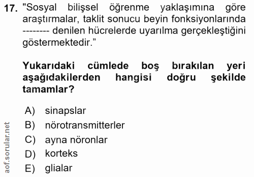 17. soru: "Sosyal bilişsel öğrenme yaklaşımına göre araştırmalar, taklit sonucu beyin fonksiyonlarında --- denilen hücrelerde u…