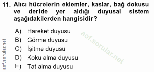 11. soru: Alıcı hücrelerin eklemler, kaslar, bağ dokusu ve deride yer aldığı duyusal sistem aşağıdakilerden hangisidir? A) Hare…