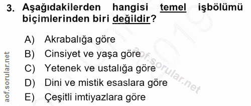 3. soru: Aşağıdakilerden hangisi temel işbölümü biçimlerinden biri değildir? A) Akrabalığa göre B) Cinsiyet ve yaşa göre C) Ye…