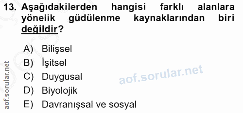 13. soru: Aşağıdakilerden hangisi farklı alanlara yönelik güdülenme kaynaklarından biri değildir? A) Bilişsel B) İşitsel C) Duy…