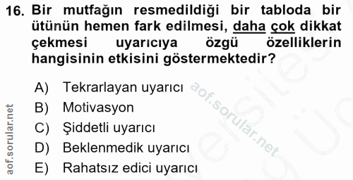 16. soru: Bir mutfağın resmedildiği bir tabloda bir ütünün hemen fark edilmesi, daha çok dikkat çekmesi uyarıcıya özgü özellikl…