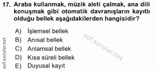17. soru: Araba kullanmak, müzik aleti çalmak, ana dili konuşmak gibi otomatik davranışların kayıtlı olduğu bellek aşağıdakiler…