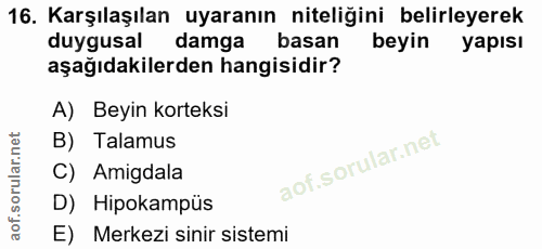 16. soru: Karşılaşılan uyaranın niteliğini belirleyerek duygusal damga basan beyin yapısı aşağıdakilerden hangisidir? A) Beyin…