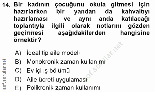 14. soru: Bir kadının çocuğunu okula gitmesi için hazırlarken bir yandan da kahvaltıyı hazırlaması ve aynı anda katılacağı topl…