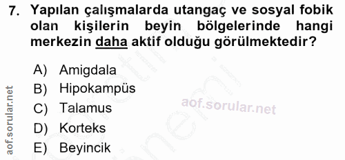 7. soru: Yapılan çalışmalarda utangaç ve sosyal fobik olan kişilerin beyin bölgelerinde hangi merkezin daha aktif olduğu görül…