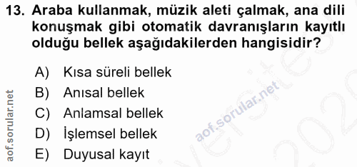 13. soru: Araba kullanmak, müzik aleti çalmak, ana dili konuşmak gibi otomatik davranışların kayıtlı olduğu bellek aşağıdakiler…