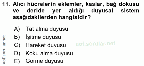 11. soru: Alıcı hücrelerin eklemler, kaslar, bağ dokusu ve deride yer aldığı duyusal sistem aşağıdakilerden hangisidir? A) Tat…