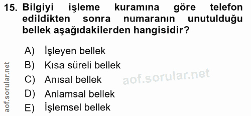 15. soru: Bilgiyi işleme kuramına göre telefon edildikten sonra numaranın unutulduğu bellek aşağıdakilerden hangisidir? A) İşle…