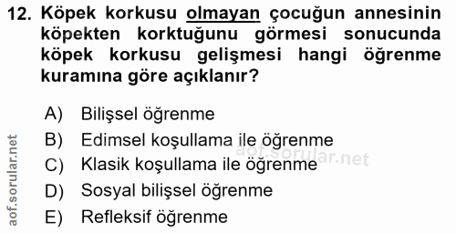 12. soru: Köpek korkusu olmayan çocuğun annesinin köpekten korktuğunu görmesi sonucunda köpek korkusu gelişmesi hangi öğrenme k…