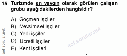 15. soru: Turizmde en yaygın olarak görülen çalışan grubu aşağıdakilerden hangisidir? A) Göçmen işçiler B) Mevsimsel işçiler C)…