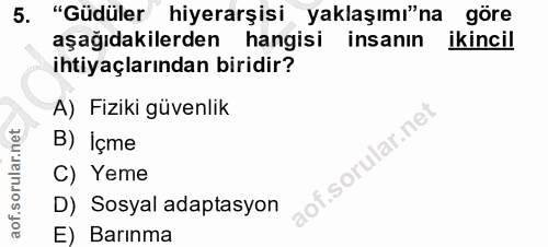 5. soru: "Güdüler hiyerarşisi yaklaşımı"na göre aşağıdakilerden hangisi insanın ikincil ihtiyaçlarından biridir? A) Fiziki güv…