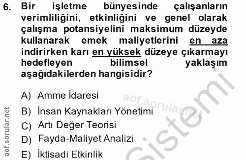 6. soru: Bir işletme bünyesinde çalışanların verimliliğini, etkinliğini ve genel olarak çalışma potansiyelini maksimum düzeyde…