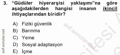 3. soru: "Güdüler hiyerarşisi yaklaşımı"na göre aşağıdakilerden hangisi insanın ikincil ihtiyaçlarından biridir? A) Fiziki güv…