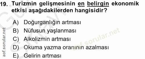 19. soru: Turizmin gelişmesinin en belirgin ekonomik etkisi aşağıdakilerden hangisidir? A) Doğurganlığın artması B) Nüfusun yaş…