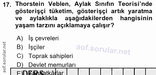17. soru: Thorstein Veblen, Aylak Sınıfın Teorisi'nde gösterişçi tüketim, gösterişçi artık yaratma ve aylaklıkla aşağıdakilerde…