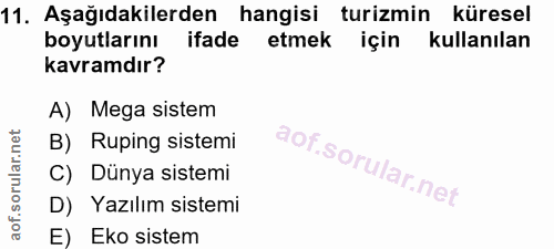 11. soru: Aşağıdakilerden hangisi turizmin küresel boyutlarını ifade etmek için kullanılan kavramdır? A) Mega sistem B) Ruping…