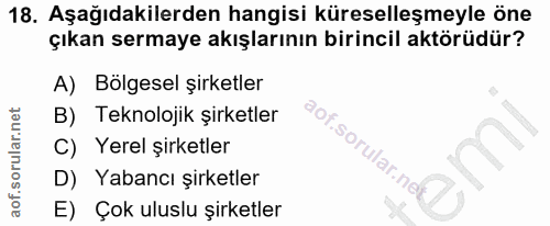 18. soru: Aşağıdakilerden hangisi küreselleşmeyle öne çıkan sermaye akışlarının birincil aktörüdür? A) Bölgesel şirketler B) Te…