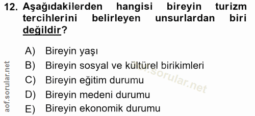 12. soru: Aşağıdakilerden hangisi bireyin turizm tercihlerini belirleyen unsurlardan biri değildir? A) Bireyin yaşı B) Bireyin…