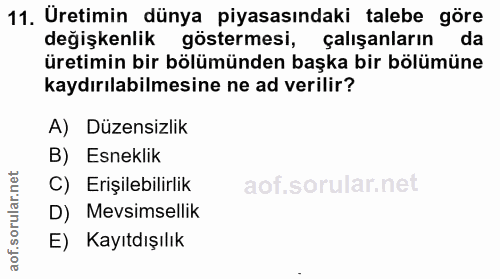 11. soru: Üretimin dünya piyasasındaki talebe göre değişkenlike göstermesi, çalışanların | da üretimin bir bölümünden başka bir…