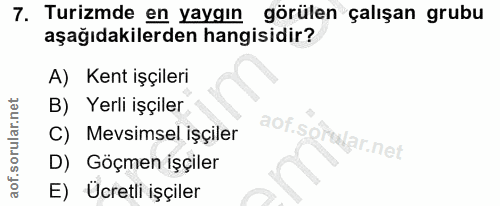 7. soru: Turizmde en yaygın görülen çalışan grubu aşağıdakilerden hangisidir? A) Kent işçileri B) Yerli işçiler C) Mevsimsel i…