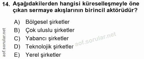 14. soru: Aşağıdakilerden hangisi küreselleşmeyle öne çıkan sermaye akışlarının birincil aktörüdür? A) Bölgesel şirketler B) Ço…