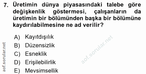 7. soru: Uretimin dünya piyasasındaki talebe göre değişkenlik göstermesi, çalışanların | da üretimin bir bölümünden başka bir…