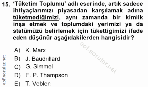 15. soru: 'Tüketim Toplumu' adlı eserinde, artık sadece ihtiyaçlarımızı piyasadan karşılamak adına tüketmediğimizi, aynı zamand…