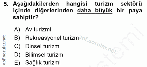 5. soru: Aşağıdakilerden hangisi turizm sektörü içinde diğerlerinden daha büyük bir paya sahiptir? B) Rekreasyonei turizm ot s…
