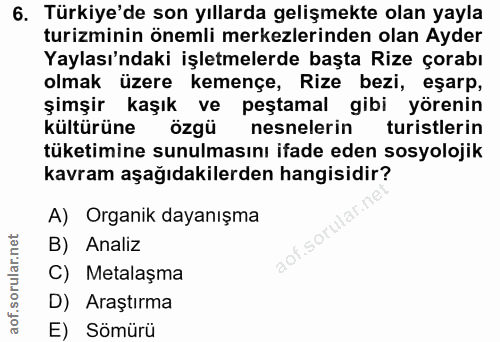 6. soru: Türkiye'de son yıllarda gelişmekte olan yayla turizminin önemli merkezlerinden olan Ayder Yaylası'ndaki işletmelerde…