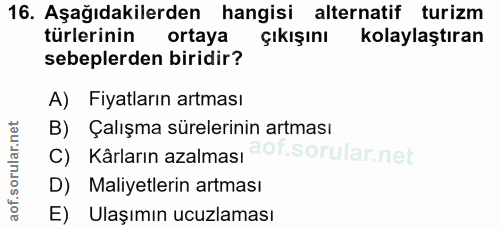 16. soru: Aşağıdakilerden hangisi alternatif turizm türlerinin ortaya Çıkışını kolaylaştıran sebeplerden biridir? A) Fiyatların…