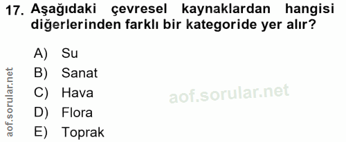 17. soru: Aşağıdaki çevresel kaynaklardan hangisi diğerlerinden farklı bir kategoride yer alır? A) Su B) Sanat C) Hava D) Flora…
