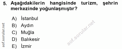 5. soru: Aşağıdakilerin hangisinde turizm, sehrin merkezinde yoğunlaşmıştır? A) Istanbul B) Aydın C) Muğla D) Balıkesir E) Izmir
