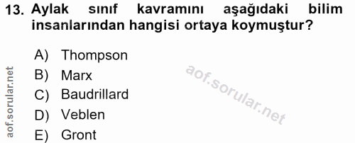 13. soru: Aylak sınıf kavramını aşağıdaki bilim insanlarından hangisi ortaya koymuştur? A) Thompson B) Marx C) Baudrillard D) V…
