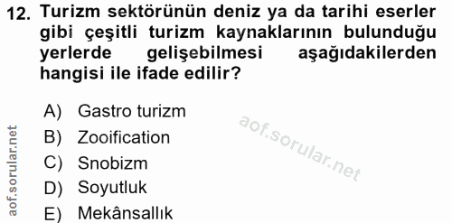 12. soru: Turizm sektörünün deniz ya da tarihi eserler gibi çeşitli turizm kaynaklarının bulunduğu yerlerde gelişebilmesi aşağı…