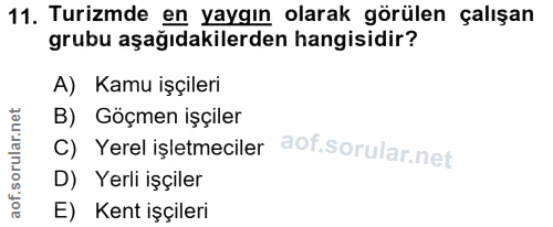 11. soru: Turizmde en yaygın olarak görülen çalışan grubu aşağıdakilerden hangisidir? A) Kamu işçileri B) Göçmen işçiler C) Yer…