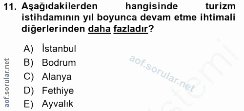 11. soru: Aşağıdakilerden hangisinde turizm istihdamının yıl boyunca devam etme ihtimali diğerlerinden daha fazladır? A) İstanb…