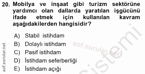 20. soru: Mobilya ve inşaat gibi turizm sektörüne yardımcı olan dallarda yaratılan işgücünü ifade etmek için kullanılan kavram…