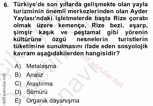 6. soru: Türkiye'de son yıllarda gelişmekte olan yayla turizminin önemli merkezlerinden olan Ayder Yaylası'ndaki işletmelerde…
