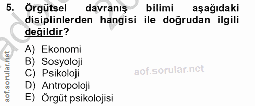 5. soru: Örgütsel davranış bilimi aşağıdaki disiplinlerden hangisi ile doğrudan ilgili değildir? A) Ekonomi B) Sosyoloji C) Ps…