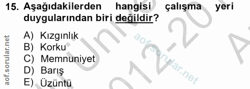 15. soru: Aşağıdakilerden hangisi çalışma yeri duygularından biri değildir? A) Kızgınlık B) Korku C) Memnuniyet Yylar. net D) B…
