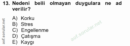 13. soru: Nedeni belli olmayan duygulara ne ad verilir? A) Korku B) Stres C) Engellenme D) Çatışma E) Kaygı
