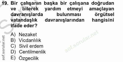 19. soru: Bir çalışanın başka bir çalışana doğrudan ve bilerek yardım etmeyi amaçlayan davranışlarda bulunması örgütsel vatanda…