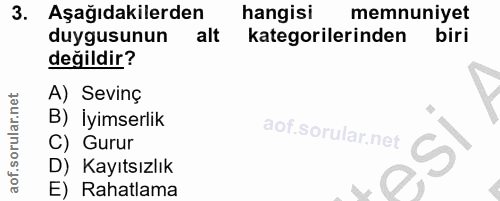 3. soru: Aşağıdakilerden hangisi memnuniyet duygusunun alt kategorilerinden biri değildir? A) Sevinç B) İyimserlik C) Gurur S…